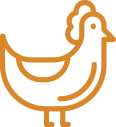 Chicken Icon